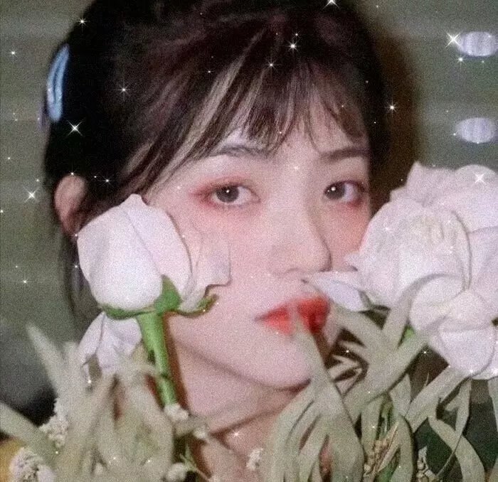真爱至上国语 封面