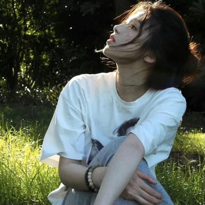 独行月球 封面